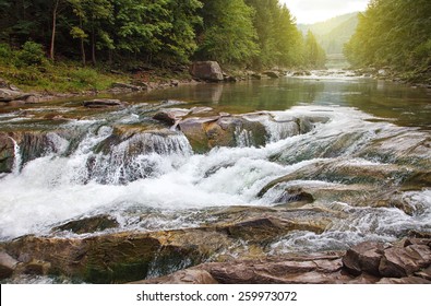 Mountain stream in a  forest.