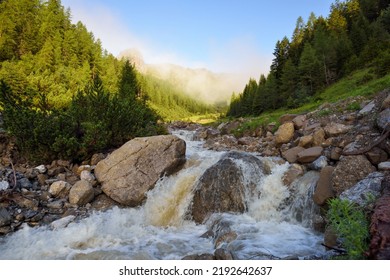 Mountain Stream In The High Mountains. Creek Flowing Over The Rocks. Foggy Morning After Rain In The Alps
