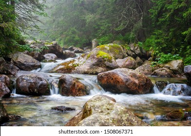 Mountain stream in High Tatras National Park, Slovakia - Shutterstock ID 1508067371