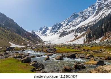 A mountain stream in lush green alpine meadow in Sonmarg, Jammu nad Kashmir, India - Shutterstock ID 2153814837