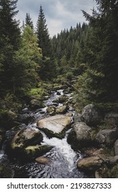 Mountain Stream In The Middle Of Woods And Trees, Czech Republic.