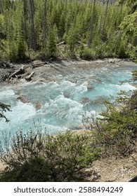Mountain stream roaring rapids and trees.