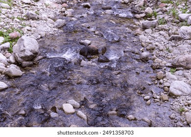 Mountain Stream with Rocks in the Forest
