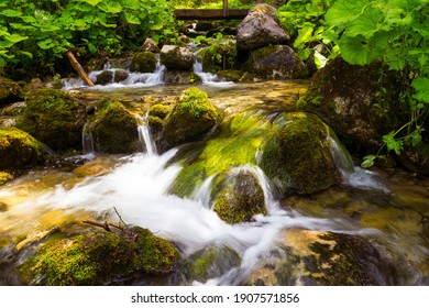A mountain stream in the Tatra valley, clear water