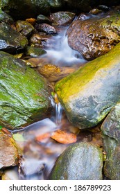 the mountain stream through rocks