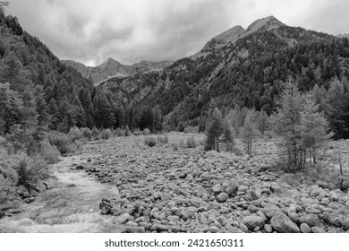 Mountain stream in the Valle Sissone, black and white photo, Valmalenco, Italian mountains, Lombardy, Alps, Italy, Europe - Powered by Shutterstock