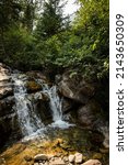 Mountain stream water falls over mossy rocks