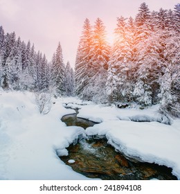 Mountain stream in winter