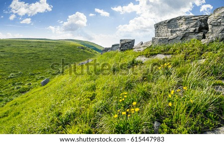 Similar – Image, Stock Photo Dandelion, huge Nature