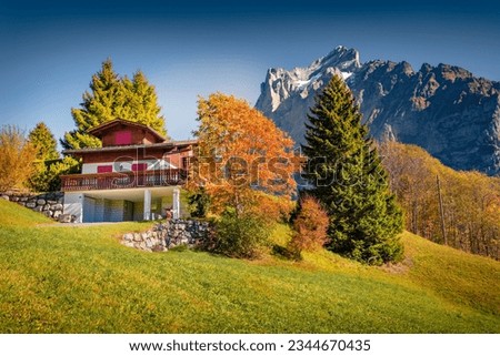 Mountain Swiss farm in Bernese Oberland Alps. Colorful autumn scene of Switzerland countryside. Greenery concept background. Stunning autumn view of Grindelwald village. 