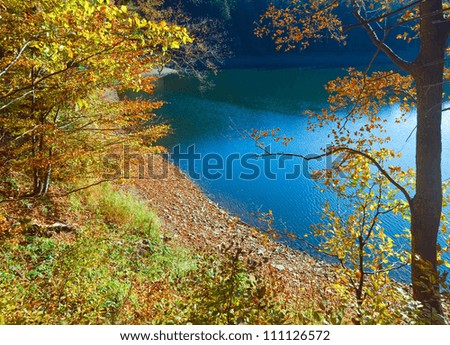 Similar – Image, Stock Photo forest lake Autumn Tree