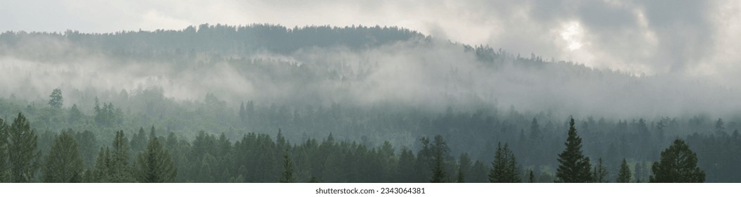 Mountain taiga, a wild place. Coniferous forest, morning fog, panoramic view. - Powered by Shutterstock