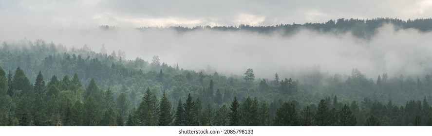 Mountain taiga, a wild place in Siberia. Coniferous forest, morning fog, panoramic view. - Shutterstock ID 2085798133