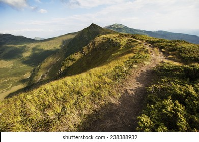 Mountain Trail