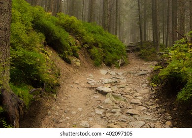 Mountain trail - Shutterstock ID 402097105