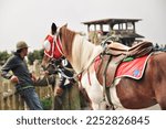 Mountain trail horse riding - brown white red saddle