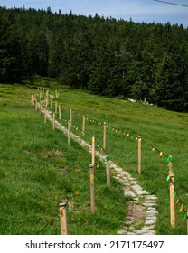 Mountain Trail With Limited Access To A Protected Lawn. No Going Off The Path Nature Protection