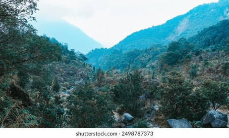 Mountain trail winding through dense forest, leading to misty peaks in the distance - Powered by Shutterstock