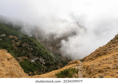 Mountain trail winding through misty valleys on an overcast day, with soft clouds rolling over green hills and rocky slopes. Concept of nature exploration, hiking adventure, and scenic mountain - Powered by Shutterstock