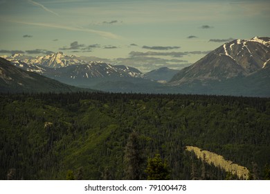 Mountain with Tree View