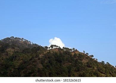Mountain with trees and cloud 