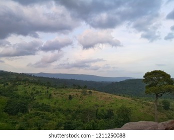 Mountain trees and refreshing clouds. 