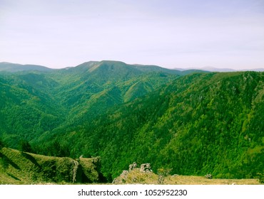 mountain trees and view