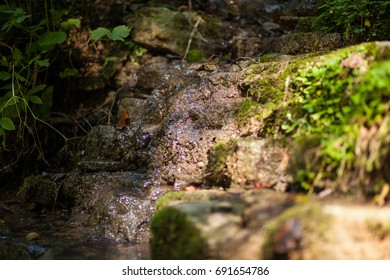 Mountain Trickle. Mountain Water