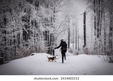 
mountain trip with a dog during a snowy winter - Powered by Shutterstock