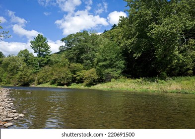 Mountain Trout Fishing Stream In Northern Pennsylvania.