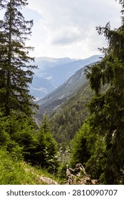 Mountain valley with dense pine forest and distant peaks, Austria, Tyrol, Zams, 28 June 2026