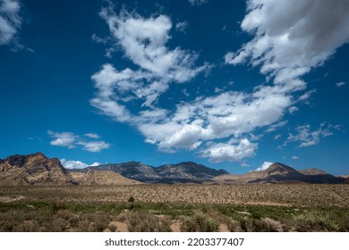 Mountain Valley With Desert Flora And Cloudy Sky
