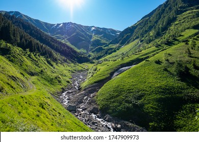 Mountain valley with green meadow, spruce forest and a river - Shutterstock ID 1747909973