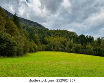 mountain valley. lush greenery. perfect grass. farmland. nature background.  - Powered by Shutterstock