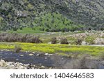 mountain valley with a stream