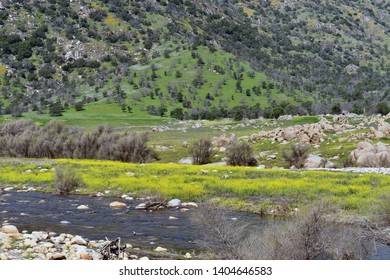 mountain valley with a stream