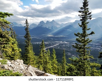 Mountain Valley with Trees