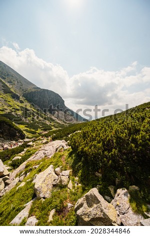 Mountain valley with waterfall Skok. High Tatras national park , Mlynicka dolina, Slovakia landscape. Stock photo © 
