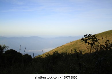 mountain view