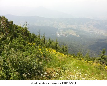 Mountain view