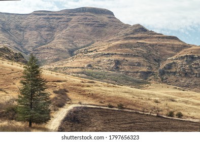 Mountain View Close To Caledon River Pathway For 4x4 Trucks