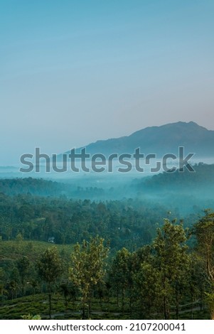 Mountain view with fog landscape during sunrise, Beautiful nature scenery from Chembra peak Wayanad