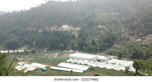 mountain view full of greenery