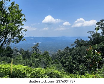mountain view from high level