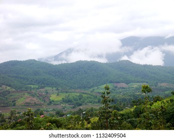 Mountain view with mist