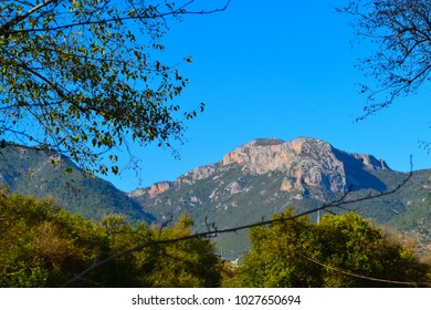 Mountain View over trees