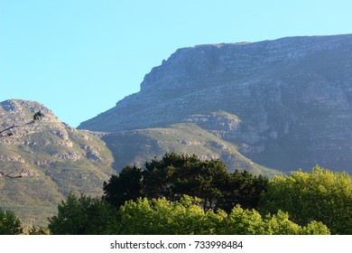 Mountain View over trees