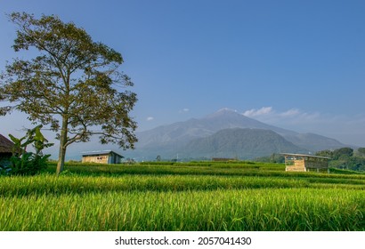 Mountain view with rice fields in Trawas Mojokerto - Shutterstock ID 2057041430