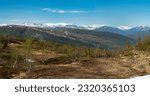 Mountain view from Risfjellet, Mo i Rana, Norway. Norwegian mountain landscape in early summer snow on the high mountain peaks. Pine trees high altitude. Mountain lake, fjord. Panorama high megapixel