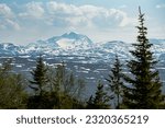 Mountain view from Risfjellet, Mo i Rana, Norway. Norwegian mountain landscape in early summer with snow on the high mountain peaks. Pine trees and high altitude. Mountain lake, fjord. Blue and green.